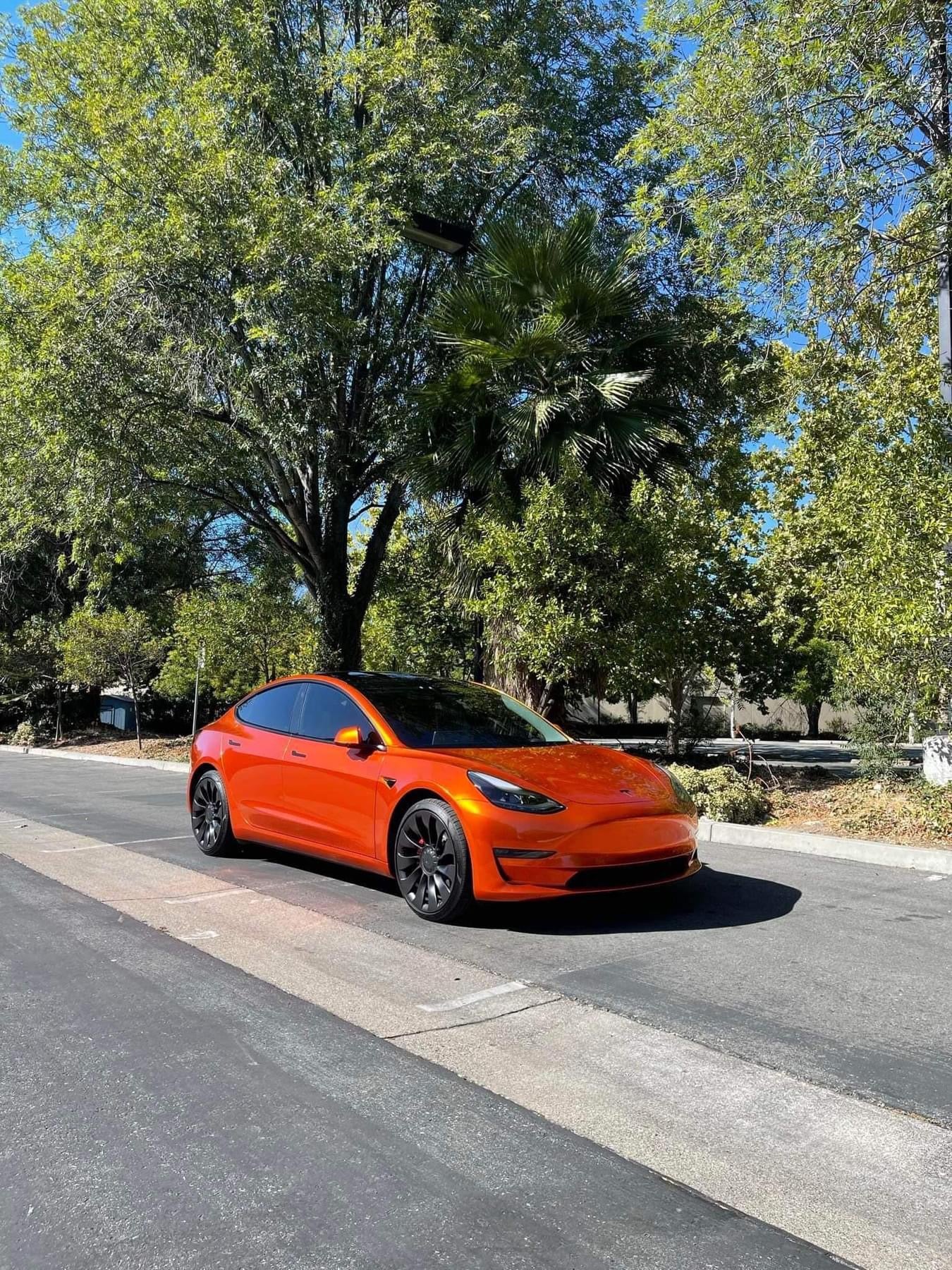 Gloss Aluminum Orange