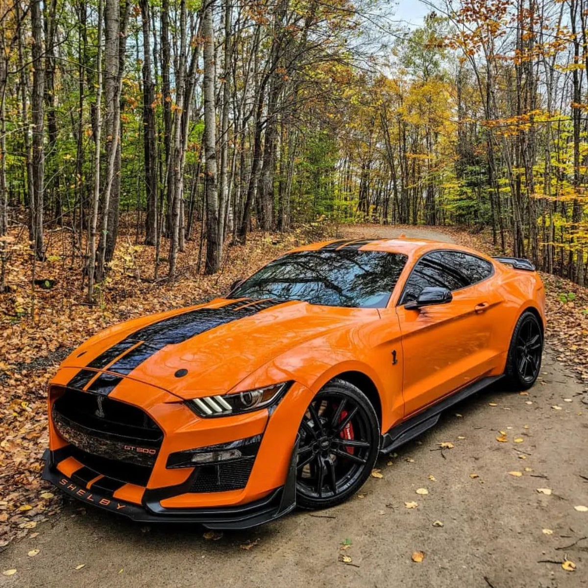 Glossy Pumpkin Orange